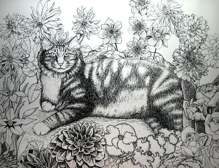 Cat Drawing Pen and Ink - Maine Coon Cat In Repose ...