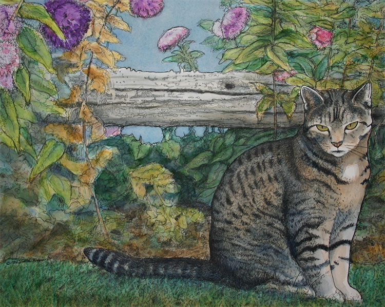 Sparky the cat watercolor painting category image
