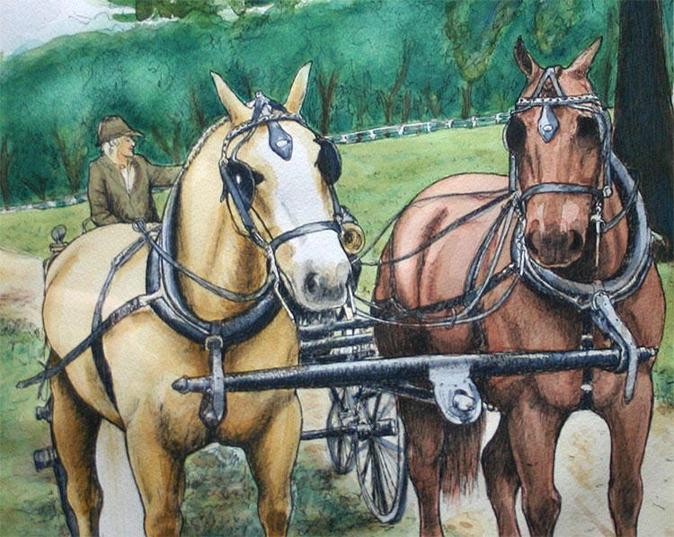 carriage horse watercolor category