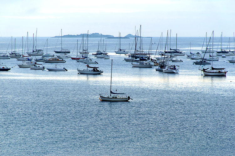 This photo taken at Independence Park features a signet sailboat, in the foreground.